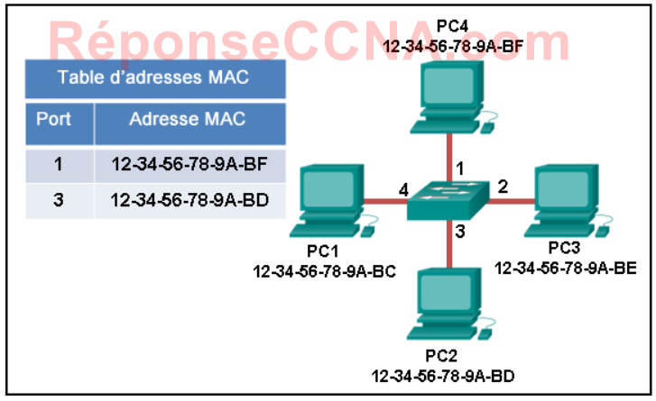 Reponse Modules 8 - 10: Examen sur la communication entre les réseaux Q21