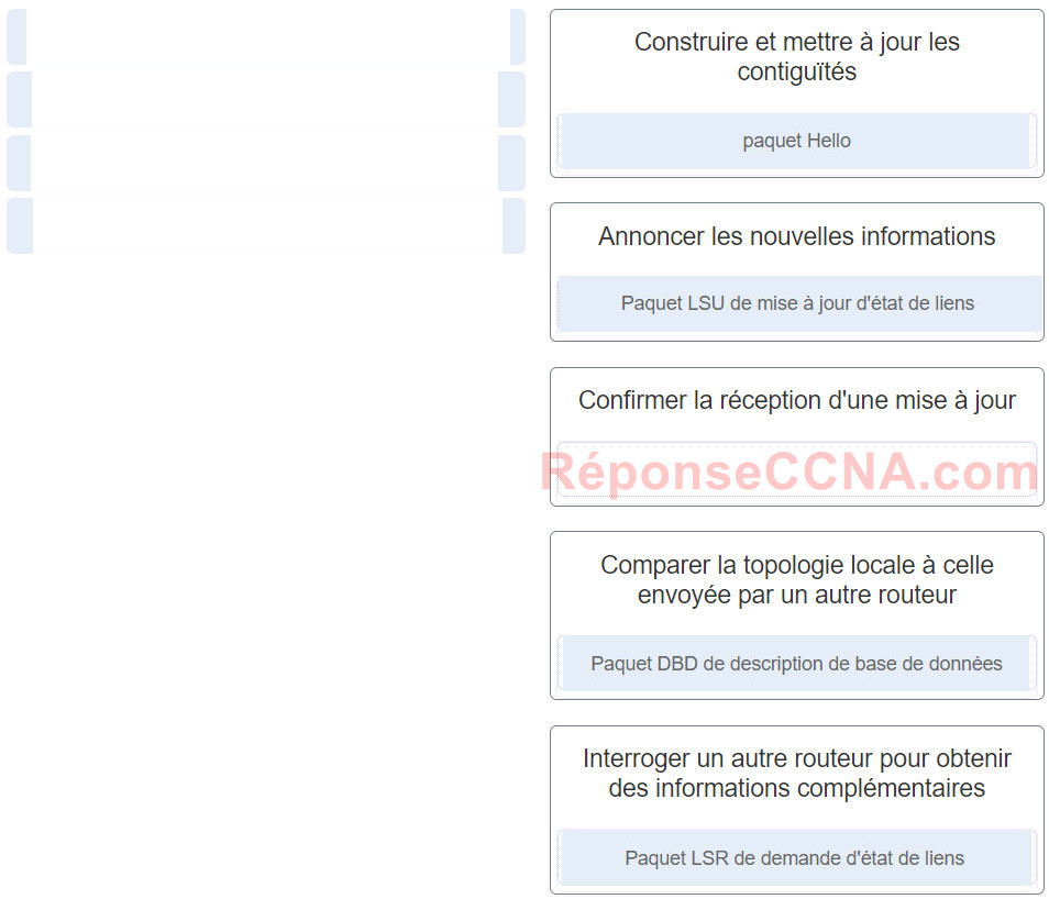 Reponse Modules 1 - 2: Concepts et examen de configuration de l'OSPF Q