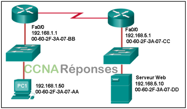 Modules 4 - 7: Examen sur les concepts d'Ethernet Réponses