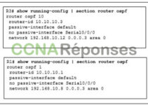 Modules 9 – 12: Examen d’optimisation, de surveillance et de dépannage des réseaux Réponses