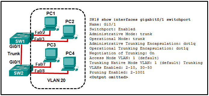 CCNA2 v7 SRWE – Modules 1 – 4 Concepts de commutation, VLAN et réponses à l'examen de routage interVLAN 29