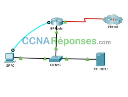 17.5.9 Packet Tracer Interpret S