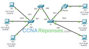 Trunk Packet 3.4.5 - Packet Tracer - Configuration des trunks