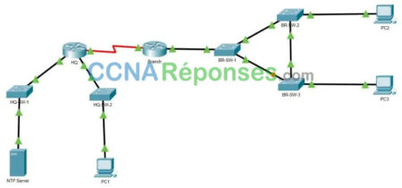 10.8.1 Packet Tracer Configure C