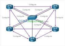 Réseau d’entreprise, sécurité et automatisation – Modules 1 : Concepts de l’OSPF à zone unique