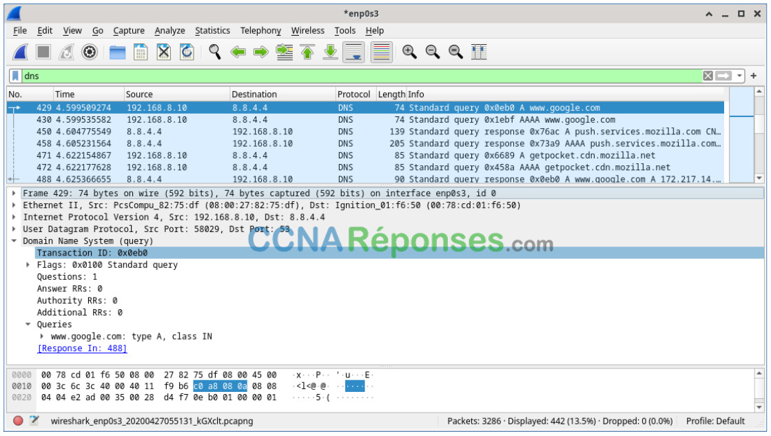 10.2.7 – Travaux pratiques – Utilisation de Wireshark pour examiner une capture DNS UDP